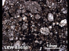 Thin Section Photograph of Sample LEW 88696 in Plane-Polarized Light