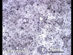Thin Section Photo of Sample LEW 90500 in Reflected Light