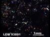 Thin Section Photograph of Sample LEW 93891 in Cross-Polarized Light