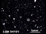 Thin Section Photo of Sample LON 94101 in Plane-Polarized Light