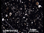 Thin Section Photograph of Sample LON 94102 in Plane-Polarized Light