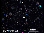 Thin Section Photo of Sample LON 94102 in Cross-Polarized Light