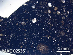Thin Section Photo of Sample MAC 02535 in Plane-Polarized Light with 5X Magnification