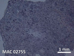 Thin Section Photo of Sample MAC 02755 in Reflected Light with 5X Magnification
