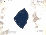 Thin Section Photo of Sample MAC 02779 in Plane-Polarized Light with  Magnification