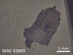 Thin Section Photo of Sample MAC 02869 in Reflected Light with  Magnification
