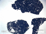Thin Section Photo of Sample MAC 041219 in Plane-Polarized Light with  Magnification