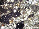 Thin Section Photograph of Sample MAC 88105 in Plane-Polarized Light