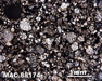 Thin Section Photograph of Sample MAC 88174 in Plane-Polarized Light