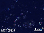 Thin Section Photo of Sample MCY 05219 in Cross-Polarized Light with 5X Magnification