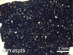 Thin Section Photo of Sample MCY 05229 in Plane-Polarized Light with 5X Magnification