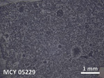 Thin Section Photo of Sample MCY 05229 in Reflected Light with 5X Magnification
