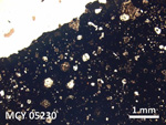 Thin Section Photo of Sample MCY 05230 in Plane-Polarized Light with 5X Magnification