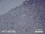 Thin Section Photo of Sample MCY 05230 in Reflected Light with 5X Magnification