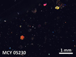 Thin Section Photo of Sample MCY 05230 in Cross-Polarized Light with 5X Magnification