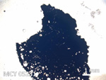 Thin Section Photo of Sample MCY 05231 in Plane-Polarized Light with 5X Magnification