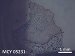 Thin Section Photo of Sample MCY 05231 in Reflected Light with 5X Magnification