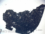 Thin Section Photo of Sample MCY 05232 in Plane-Polarized Light with 5X Magnification