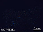 Thin Section Photo of Sample MCY 05232 in Cross-Polarized Light with 5X Magnification