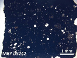 Thin Section Photo of Sample MCY 05242 in Plane-Polarized Light with 5X Magnification