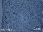 Thin Section Photo of Sample MCY 05242 in Reflected Light with 5X Magnification