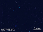 Thin Section Photo of Sample MCY 05242 in Cross-Polarized Light with 5X Magnification