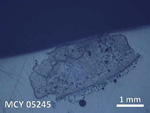 Thin Section Photo of Sample MCY 05245 in Reflected Light with 5X Magnification