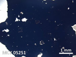 Thin Section Photo of Sample MCY 05251 in Plane-Polarized Light with 5X Magnification
