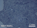 Thin Section Photo of Sample MCY 05251 in Reflected Light with 5X Magnification