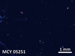 Thin Section Photo of Sample MCY 05251 in Cross-Polarized Light with 5X Magnification