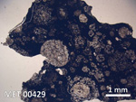 Thin Section Photo of Sample MET 00429 in Plane-Polarized Light with  Magnification