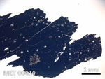 Thin Section Photo of Sample MET 00434 in Plane-Polarized Light with  Magnification