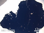 Thin Section Photo of Sample MET 00435 in Plane-Polarized Light with 5X Magnification