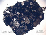 Thin Section Photo of Sample MET 00634 in Plane-Polarized Light with  Magnification