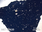 Thin Section Photo of Sample MET 00639 in Plane-Polarized Light with  Magnification