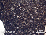 Thin Section Photo of Sample MET 00737 in Plane-Polarized Light with  Magnification