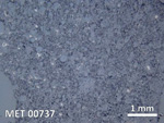 Thin Section Photo of Sample MET 00737 in Reflected Light with  Magnification
