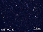 Thin Section Photo of Sample MET 00737 in Cross-Polarized Light with  Magnification