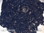 Thin Section Photo of Sample MET 00739 in Plane-Polarized Light with  Magnification