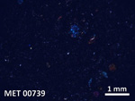 Thin Section Photo of Sample MET 00739 in Cross-Polarized Light with  Magnification