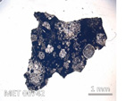 Thin Section Photo of Sample MET 00742 in Plane-Polarized Light with  Magnification