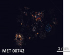 Thin Section Photo of Sample MET 00742 in Cross-Polarized Light with  Magnification
