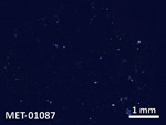 Thin Section Photo of Sample MET 01087 in Cross-Polarized Light with  Magnification