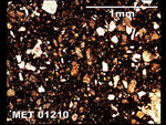 Thin Section Photograph of Sample MET 01210 in Plane-Polarized Light