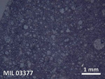 Thin Section Photo of Sample MIL 03377 in Reflected Light with  Magnification