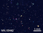 Thin Section Photo of Sample MIL 03442 in Cross-Polarized Light with  Magnification
