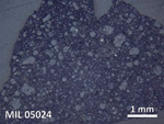 Thin Section Photo of Sample MIL 05024 in Reflected Light with 5X Magnification