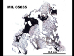 Thin Section Photograph of Sample MIL 05035 in Plane-Polarized Light