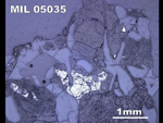 Thin Section Photograph of Sample MIL 05035 in Reflected Light