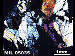 Thin Section Photograph of Sample MIL 05035 in Cross-Polarized Light